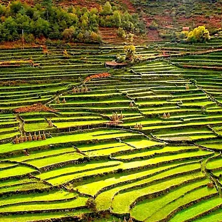 Vilar Rural - Casa Dos Avos Appartamento