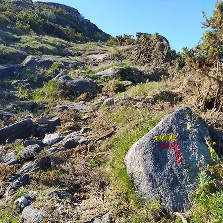 Vilar Rural - Casa Dos Avos Appartamento