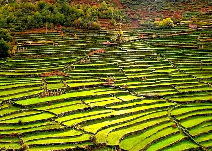 Vilar Rural - Casa Dos Avós Apartamento